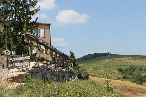 Domaine Christian Moliane partenaire Olivier Malingréau traiteur